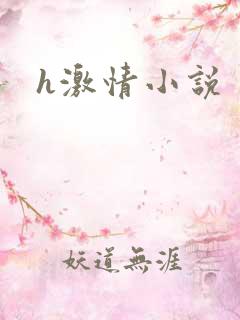 h激情小说