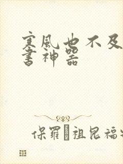 寒风也不及她追书神器