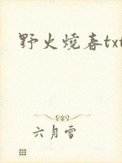 野火烧春txt
