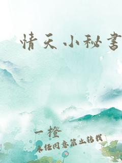 情天小秘书