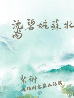 沈碧婉苏北宸和尚