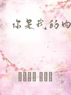 你是我的肉便器