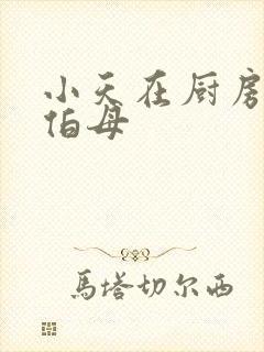 小天在厨房插杨伯母