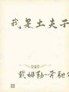 我是土夫子