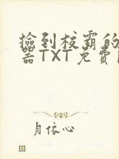 捡到校霸的遥控器TXT免费阅读