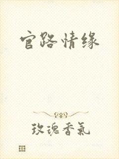 官路情缘