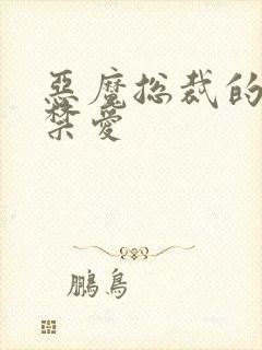 恶魔总裁的一夜禁爱