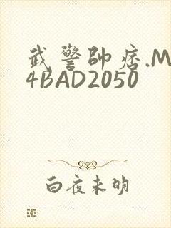 武警帅痞.MP4BAD2050