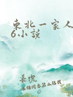 东北一家人1一6小说