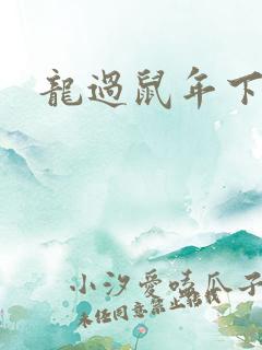 龙过鼠年下载