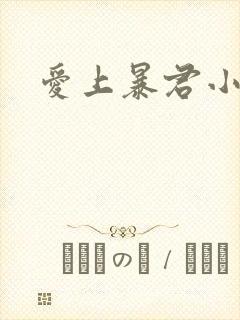 爱上暴君小甜心