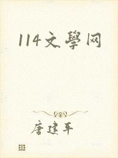 114文学网