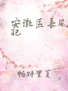 安徽区长风流日记