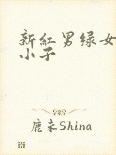 新红男绿女之坏小子