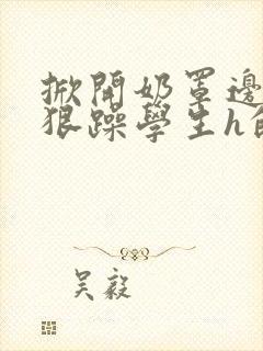 掀开奶罩边躁狠狠躁学生h的小说