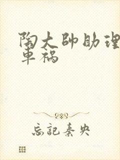 陶大帅助理子豪车祸