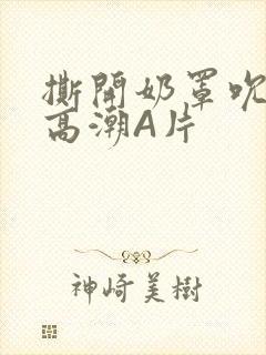 撕开奶罩吮奶头高潮A片