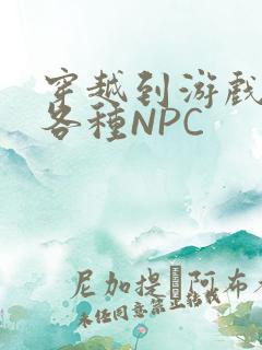 穿越到游戏里和各种NPC