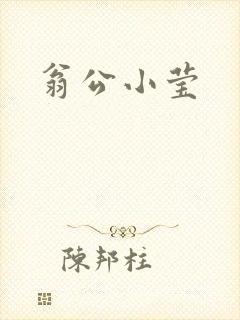 翁公小莹