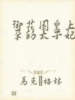 御花园皇上c有孕的太子妃