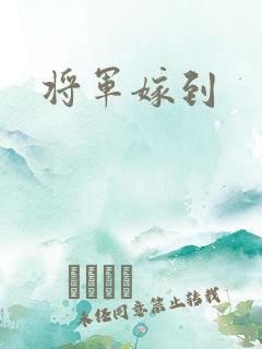 将军嫁到