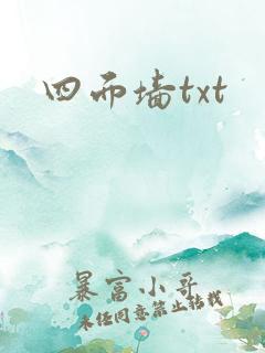 四面墙txt