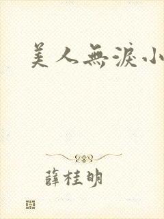 美人无泪小说