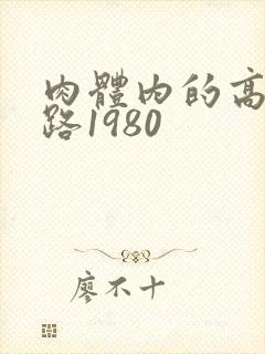 肉体内的高速公路1980