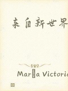 来自新世界小说