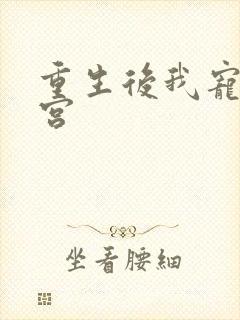 重生后我宠冠东宫