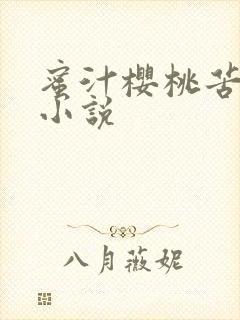 蜜汁樱桃苦咖啡小说