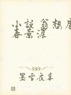 小说 翁想房中春意浓