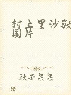 村上里沙兽皇及图片