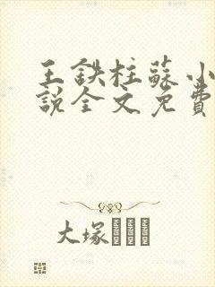 王铁柱苏小汐小说全文免费阅读最新章节