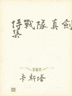 侍战队真剑者全集