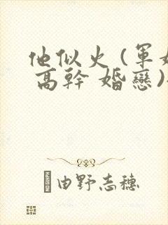 他似火 (军婚 高干 婚恋)全文在线阅读