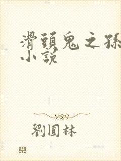 滑头鬼之孙官方小说