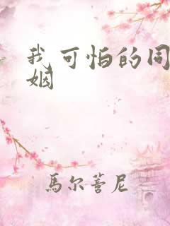 我可怕的同性婚姻