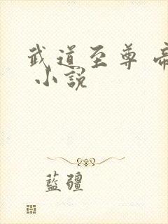 武道至尊 帝临 小说