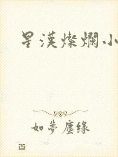 星汉灿烂小说