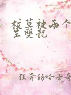 校草被两个体育生双龙