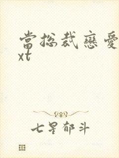 当总裁恋爱时txt