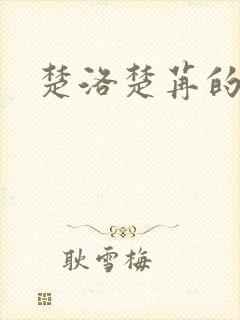 楚洛楚苒的小说