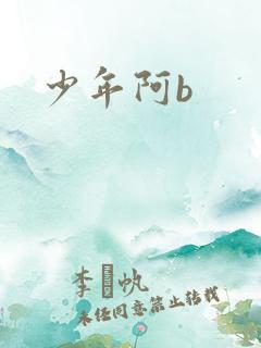 少年阿b