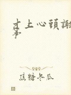 才上心头谢柳陆筝