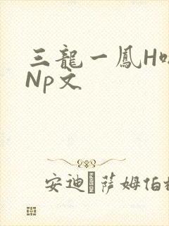 三龙一凤H啪肉Np文