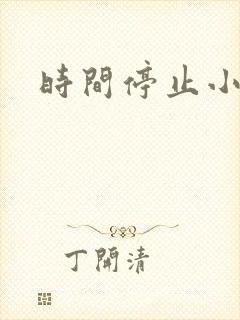 时间停止小说