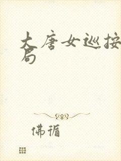 大唐女巡按大结局