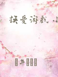换爱游戏 小说