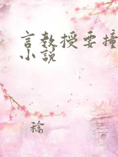 言教授要撞坏了小说